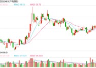 复盘2024基金业绩排名战！运气还是实力？重仓股都有什么特性？