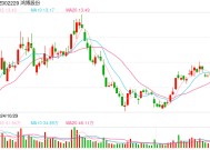 称受不可抗力因素影响 鸿博股份13.8亿元合同解除