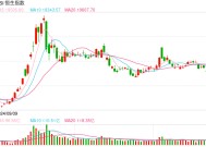 快讯：恒指高开1.13% 科指涨1.68% 科网股、汽车股齐涨