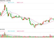 海外芯片大厂加码“中国造”，在地化趋势加速产业链重构