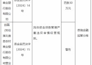 湖北宣恩农村商业银行被罚30万元：因流动资金贷款管理严重违反审慎经营规则