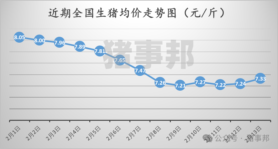 2月13日猪价汇总（猪价“几乎普涨”，但持续性或存疑！）