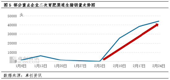 磨底还是反转？——3月生猪行情影响因素大盘点